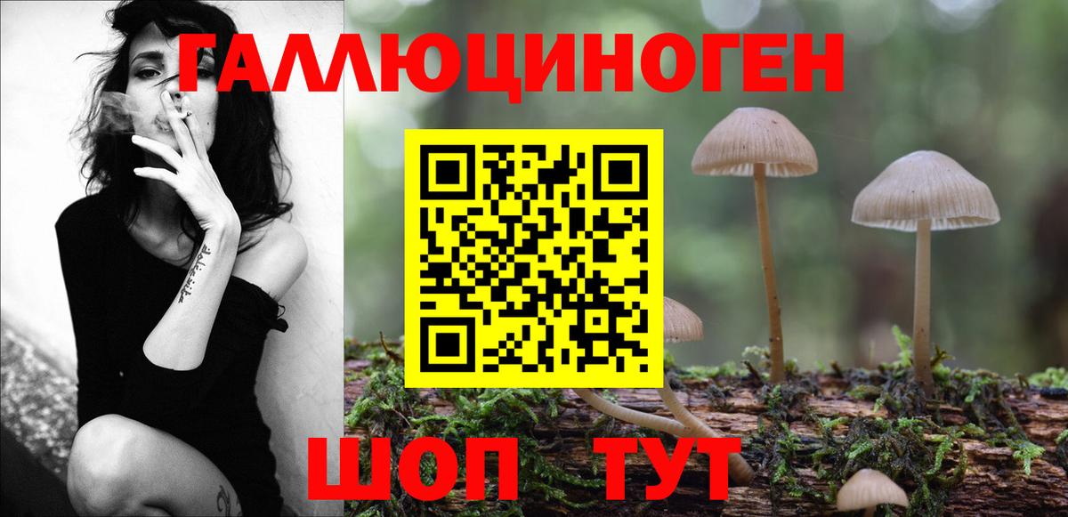 Псилоцибиновые грибы прущие грибы Химки