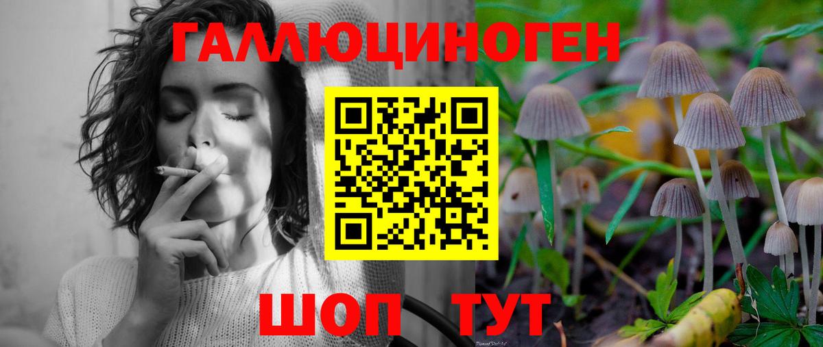 Химки  Галлюциногенные грибы мухоморы  Вход с VPN 
